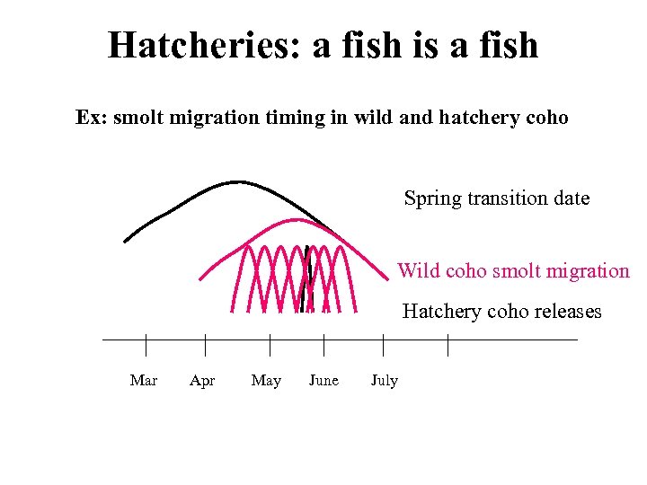 Hatcheries: a fish is a fish Ex: smolt migration timing in wild and hatchery