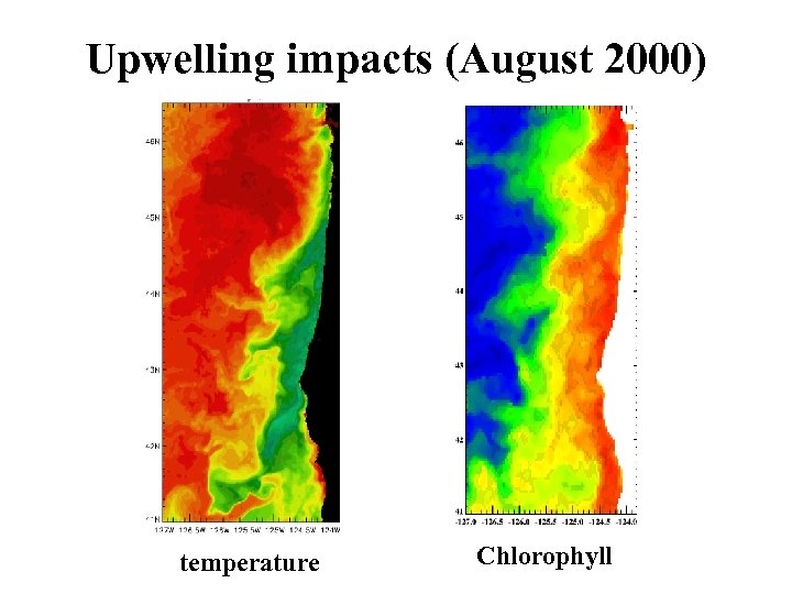 Upwelling impacts (August 2000) temperature Chlorophyll 