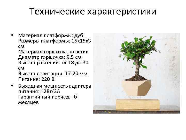 Технические характеристики • Материал платформы: дуб Размеры платформы: 15 x 3 см Материал горшочка: