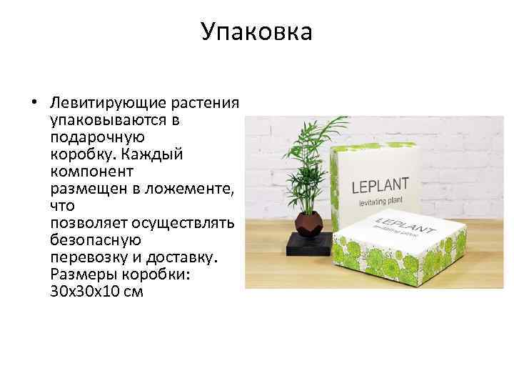 Упаковка • Левитирующие растения упаковываются в подарочную коробку. Каждый компонент размещен в ложементе, что