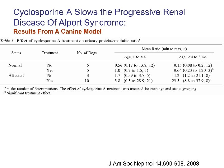 Cyclosporine A Slows the Progressive Renal Disease Of Alport Syndrome: Results From A Canine