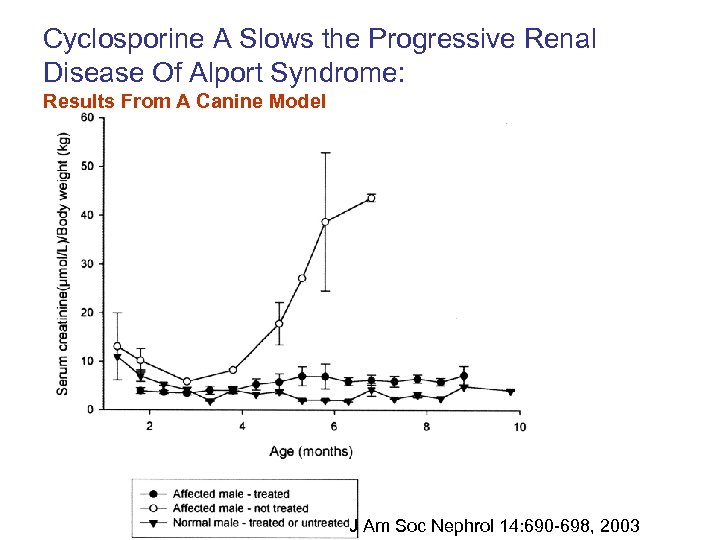 Cyclosporine A Slows the Progressive Renal Disease Of Alport Syndrome: Results From A Canine