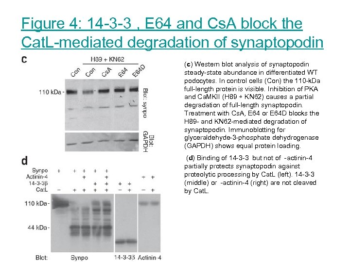 Figure 4: 14 -3 -3 , E 64 and Cs. A block the Cat.