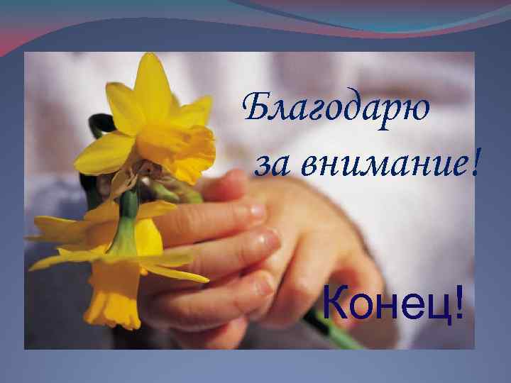 Благодарю за внимание! Конец! 