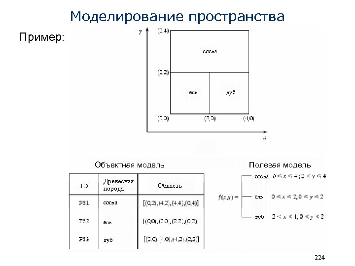 Моделирование пространства Пример: сосна ель Объектная модель ID Древесная порода сосна ель дуб Полевая