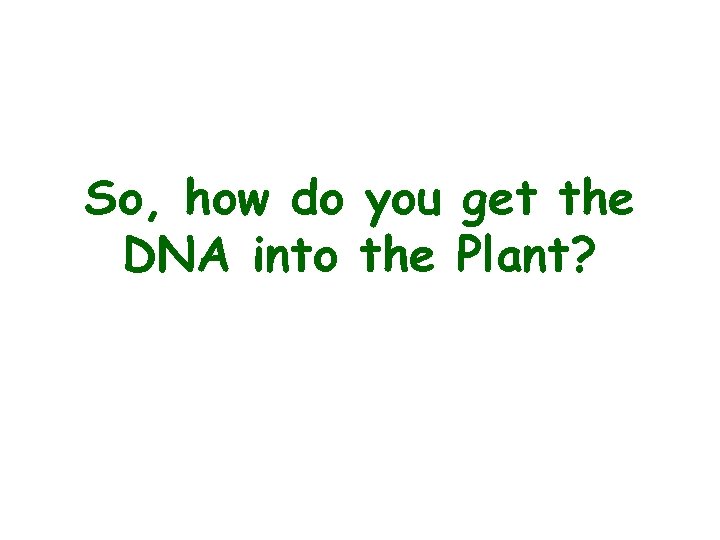 So, how do you get the DNA into the Plant? 