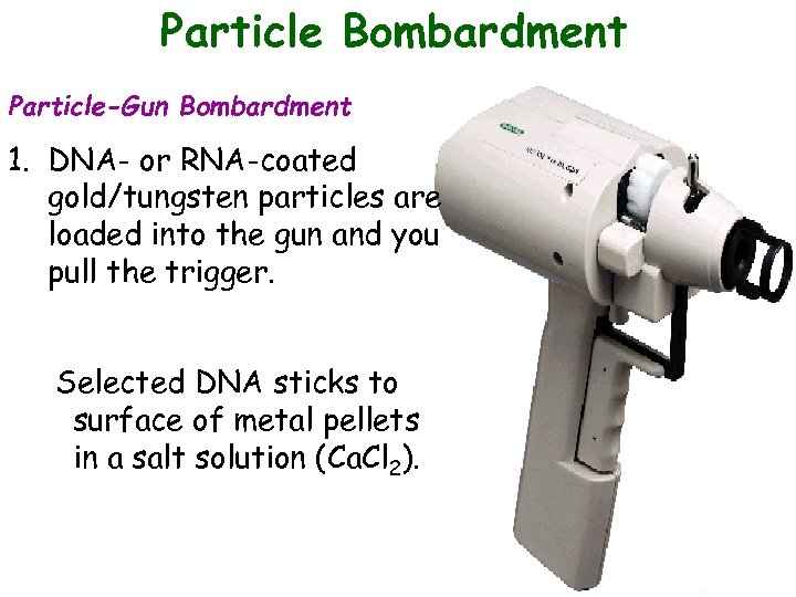 Particle Bombardment Particle-Gun Bombardment 1. DNA- or RNA-coated gold/tungsten particles are loaded into the