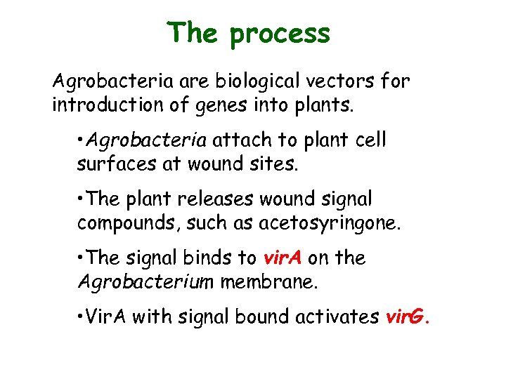 The process Agrobacteria are biological vectors for introduction of genes into plants. • Agrobacteria