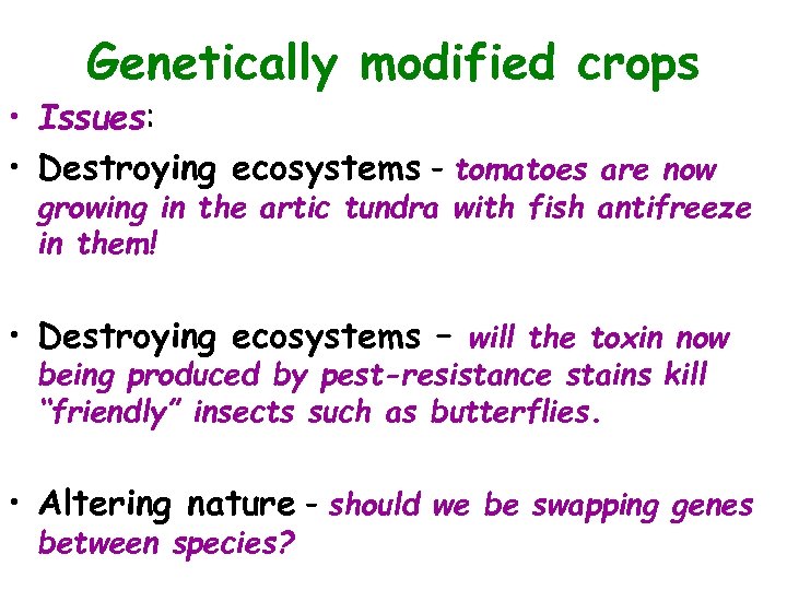 Genetically modified crops • Issues: • Destroying ecosystems – tomatoes are now growing in