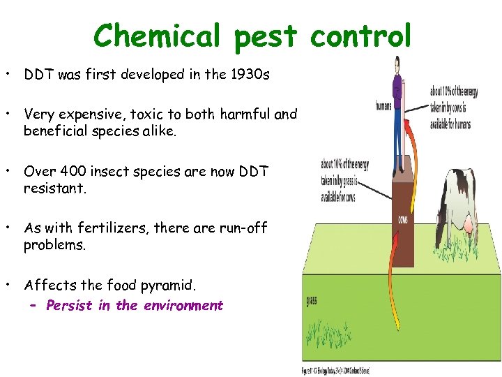 Chemical pest control Figure 11. 17 • DDT was first developed in the 1930