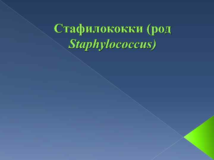 Стафилококки (род Staphylococcus) 