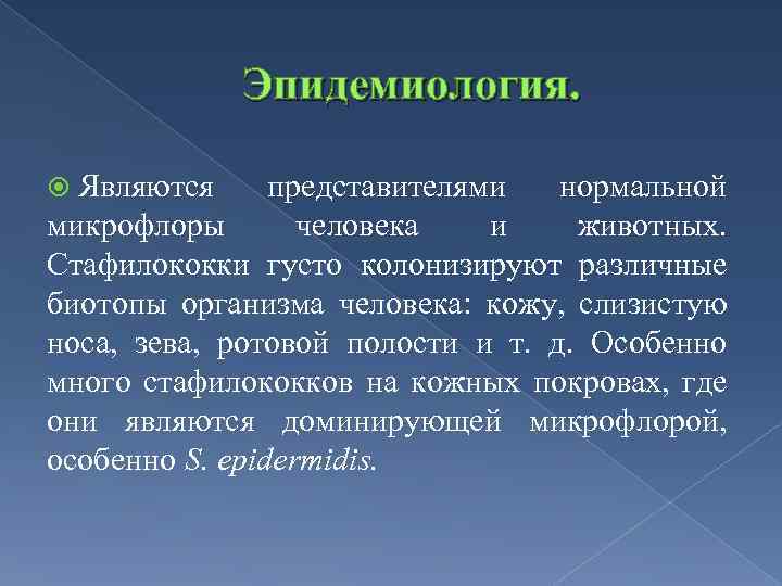 Эпидемиология. Являются представителями нормальной микрофлоры человека и животных. Стафилококки густо колонизируют различные биотопы организма