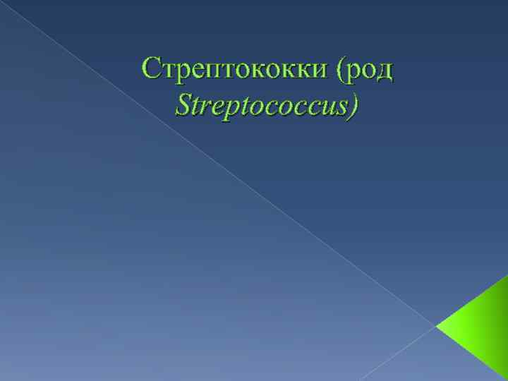 Стрептококки (род Streptococcus) 