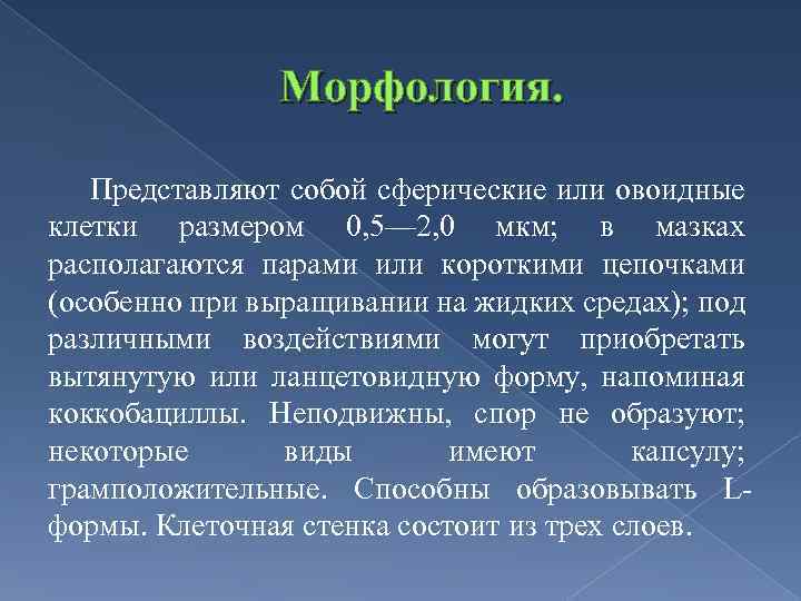 Морфология. Представляют собой сферические или овоидные клетки размером 0, 5— 2, 0 мкм; в