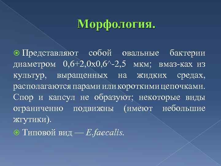 Морфология. Представляют собой овальные бактерии диаметром 0, 6+2, 0 x 0, 6^ 2, 5