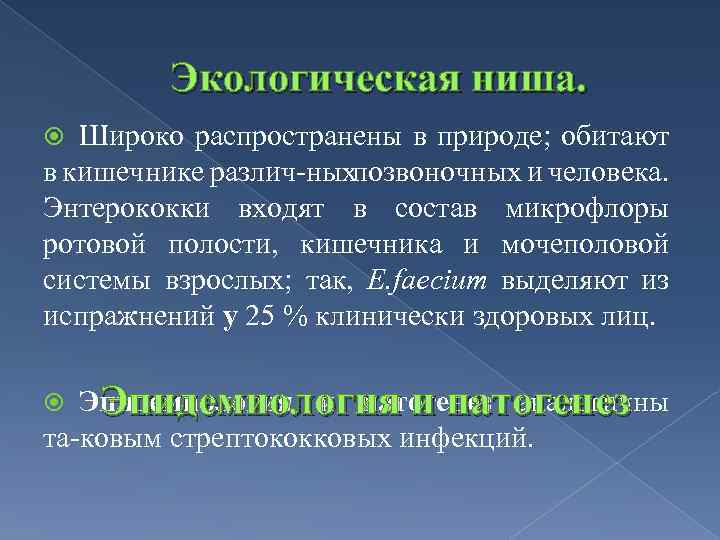 Экологическая ниша. Широко распространены в природе; обитают в кишечнике различ ныхпозвоночных и человека. Энтерококки