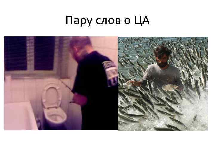 Пару слов о ЦА 