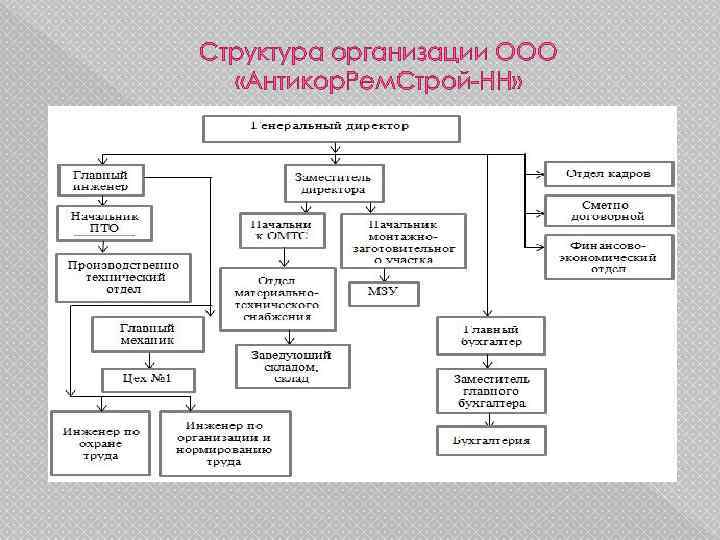 Структура организации ООО «Антикор. Рем. Строй-НН» 