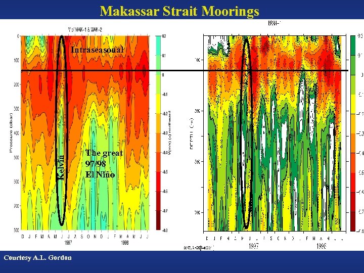 Makassar Strait Moorings Kelvin Intraseasonal Courtesy A. L. Gordon The great 97/98 El Niño