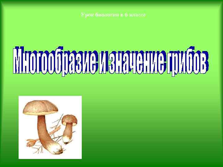 Урок биологии в 6 классе 