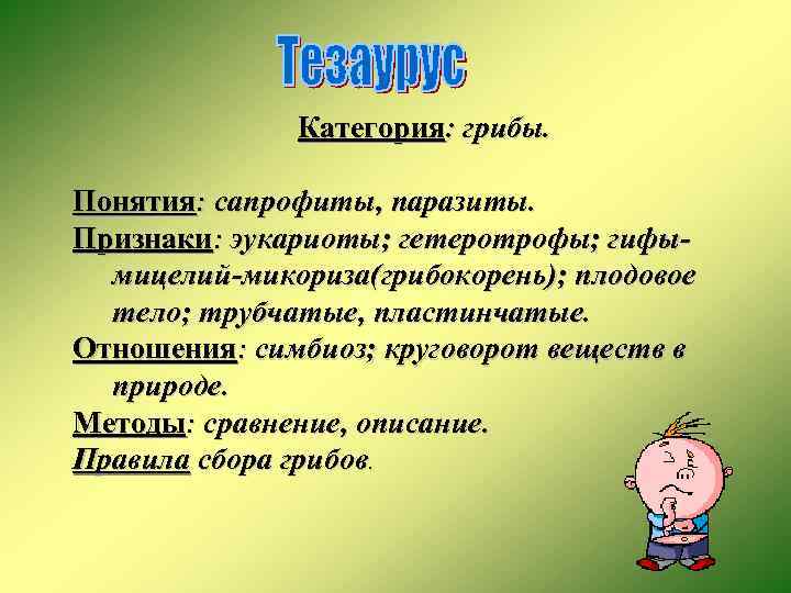 Категория: грибы. Понятия: сапрофиты, паразиты. Признаки: эукариоты; гетеротрофы; гифымицелий-микориза(грибокорень); плодовое тело; трубчатые, пластинчатые. Отношения: