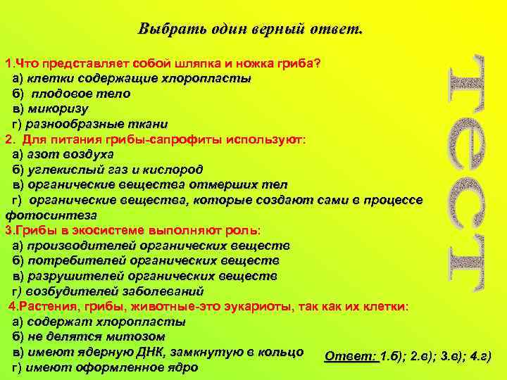 Выбрать один верный ответ. 1. Что представляет собой шляпка и ножка гриба? а) клетки