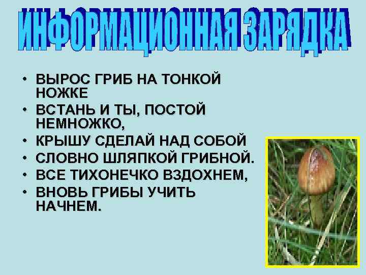  • ВЫРОС ГРИБ НА ТОНКОЙ НОЖКЕ • ВСТАНЬ И ТЫ, ПОСТОЙ НЕМНОЖКО, •