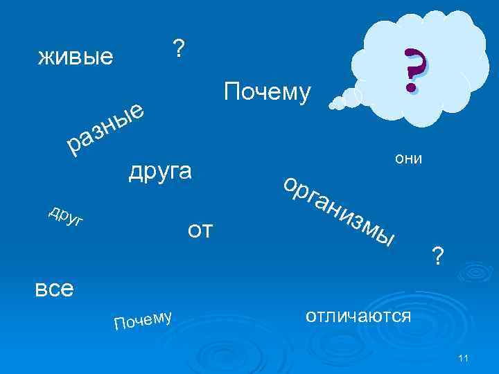 ? живые ые зн ра друга дру г ? Почему от ор они ган