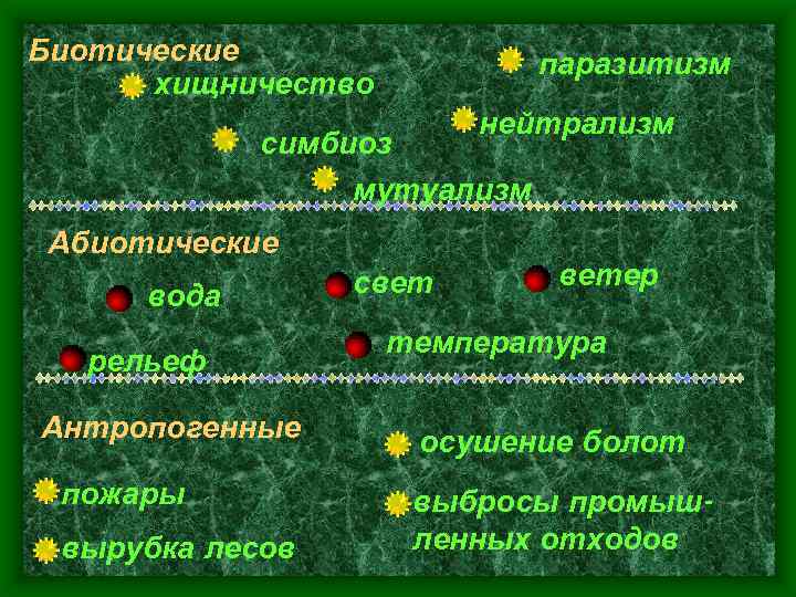 Биотические хищничество паразитизм нейтрализм симбиоз мутуализм Абиотические вода рельеф Антропогенные пожары вырубка лесов свет