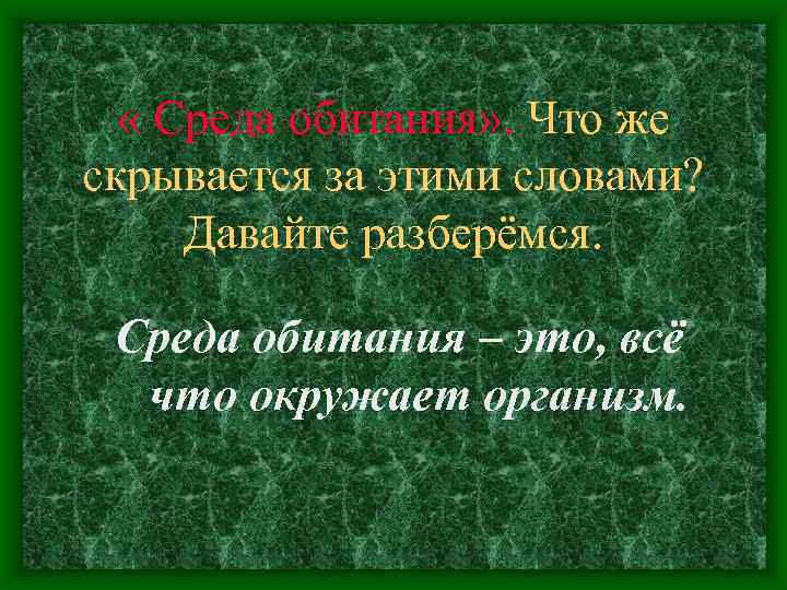  « Среда обитания» . Что же скрывается за этими словами? Давайте разберёмся. Среда