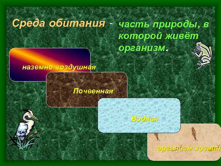 Среда обитания - часть природы, в которой живёт организм наземно-воздушная Почвенная Водная организм хозяина