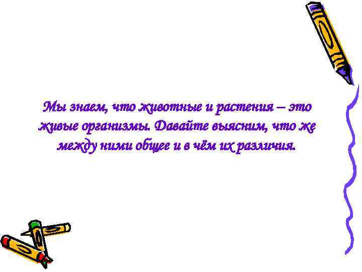 Мы знаем, что животные и растения – это живые организмы. Давайте выясним, что же