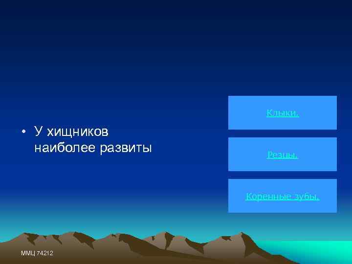 Клыки. • У хищников наиболее развиты Резцы. Коренные зубы. ММЦ 74212 