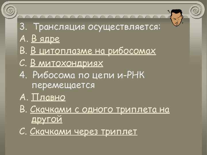 3. Трансляция осуществляется: А. В ядре В. В цитоплазме на рибосомах С. В митохондриях