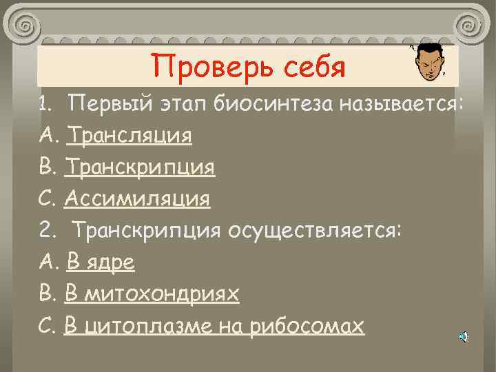 Проверь себя 1. Первый этап биосинтеза называется: А. Трансляция В. Транскрипция С. Ассимиляция 2.