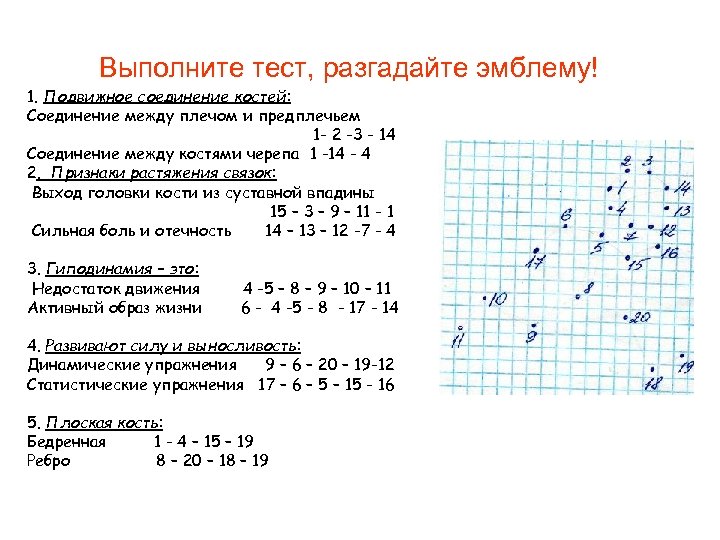 Выполните тест, разгадайте эмблему! 1. Подвижное соединение костей: Соединение между плечом и предплечьем 1
