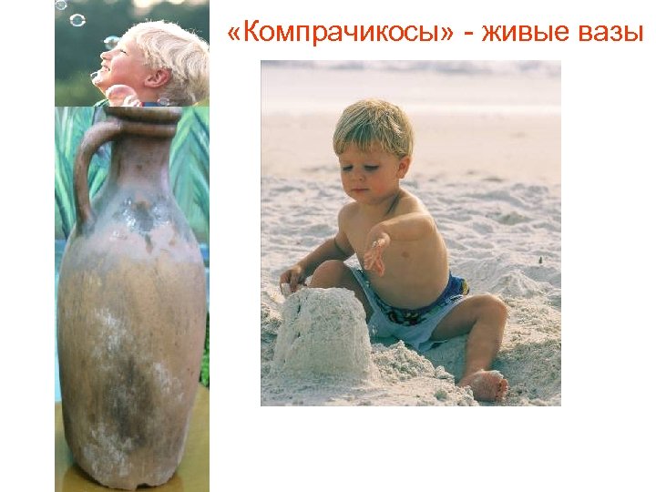  «Компрачикосы» - живые вазы 