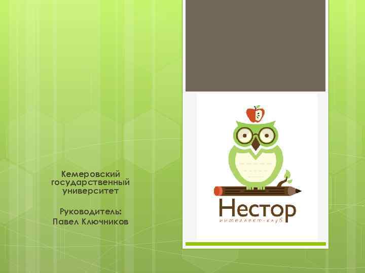 Кемеровский государственный университет Руководитель: Павел Ключников 