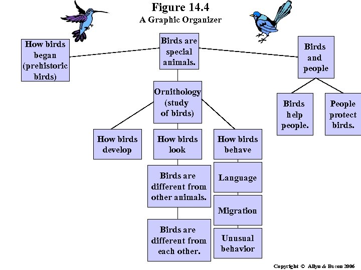 Figure 14. 4 A Graphic Organizer Birds are special animals. How birds began (prehistoric