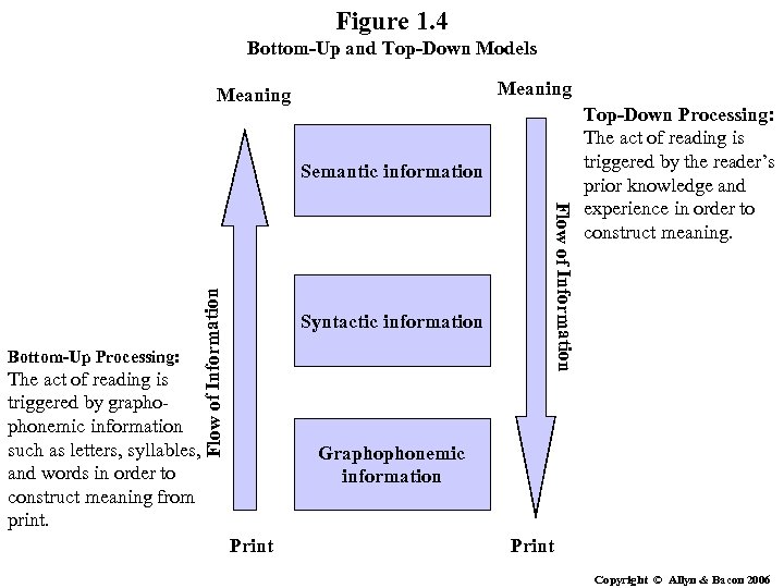 Figure 1. 4 Bottom-Up and Top-Down Models Meaning Syntactic information The act of reading
