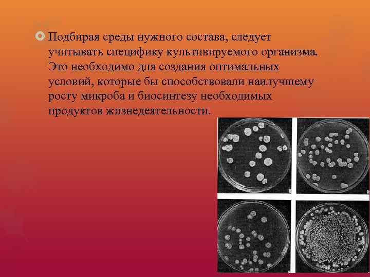 Подбирая среды нужного состава, следует учитывать специфику культивируемого организма. Это необходимо для создания