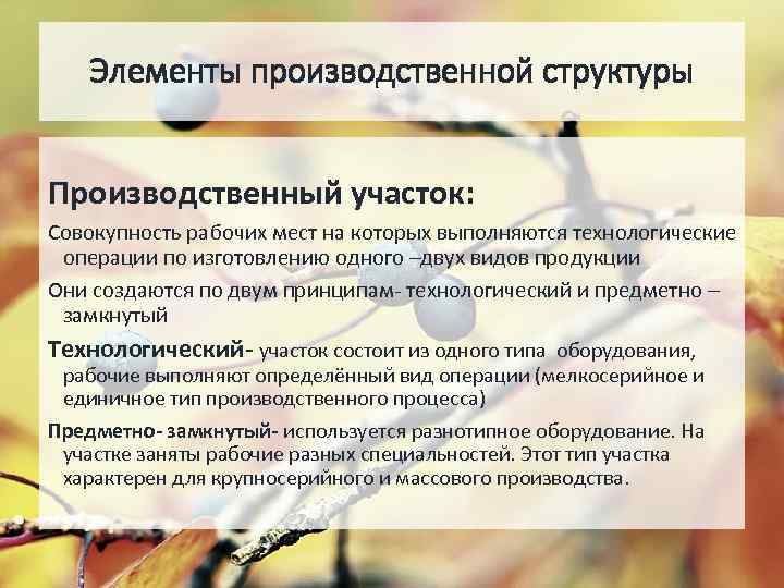 Элементы производственной структуры Производственный участок: Совокупность рабочих мест на которых выполняются технологические операции по