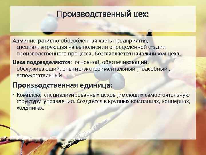 Производственный цех: Административно-обособленная часть предприятия, специализирующая на выполнении определённой стадии производственного процесса. Возглавляется начальником