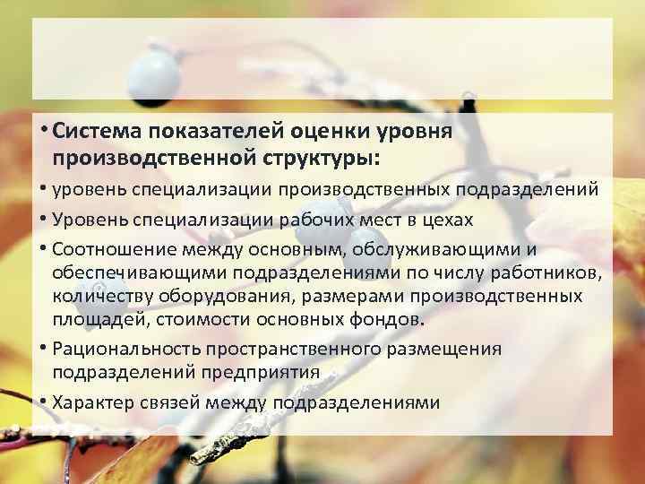  • Система показателей оценки уровня производственной структуры: • уровень специализации производственных подразделений •