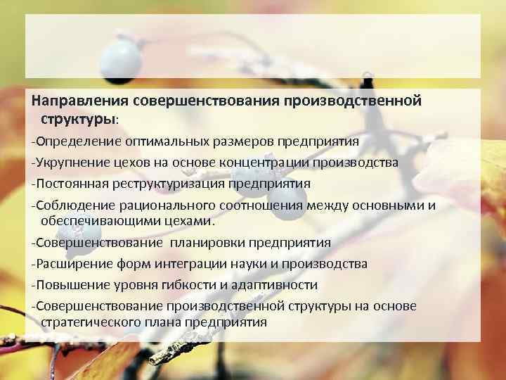 Направления совершенствования производственной структуры: -Определение оптимальных размеров предприятия -Укрупнение цехов на основе концентрации производства