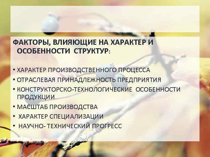 ФАКТОРЫ, ВЛИЯЮЩИЕ НА ХАРАКТЕР И ОСОБЕННОСТИ СТРУКТУР: • ХАРАКТЕР ПРОИЗВОДСТВЕННОГО ПРОЦЕССА • ОТРАСЛЕВАЯ ПРИНАДЛЕЖНОСТЬ