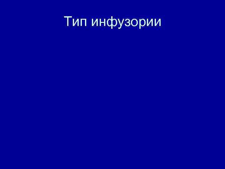 Тип инфузории 