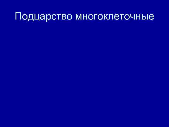 Подцарство многоклеточные 