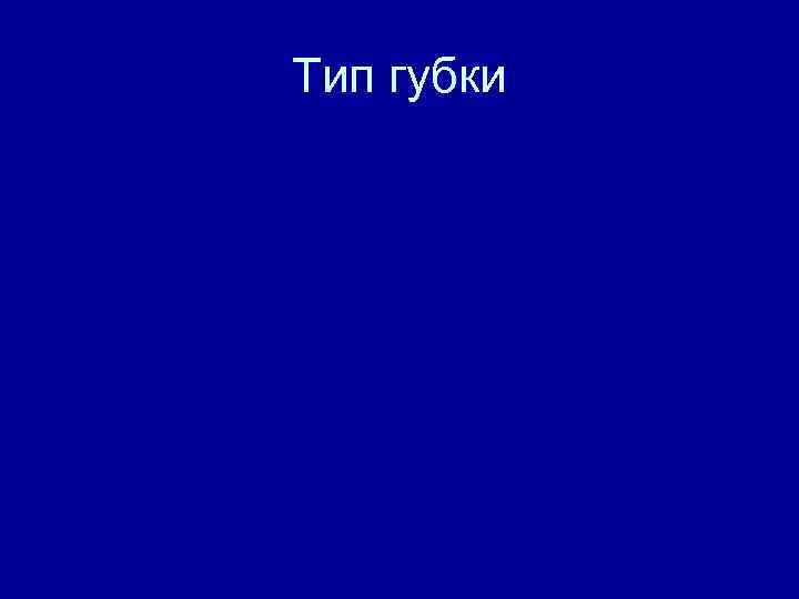 Тип губки 