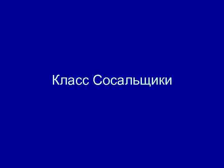 Класс Сосальщики 